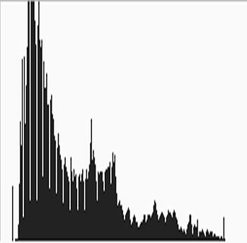 Whole image histogram