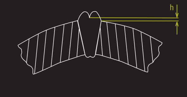 Xiris Freeze Line Defect Drawing
