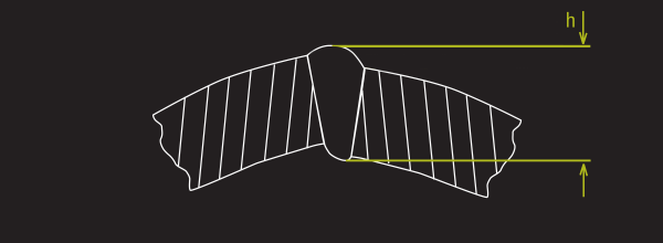 Through Wall Thickness