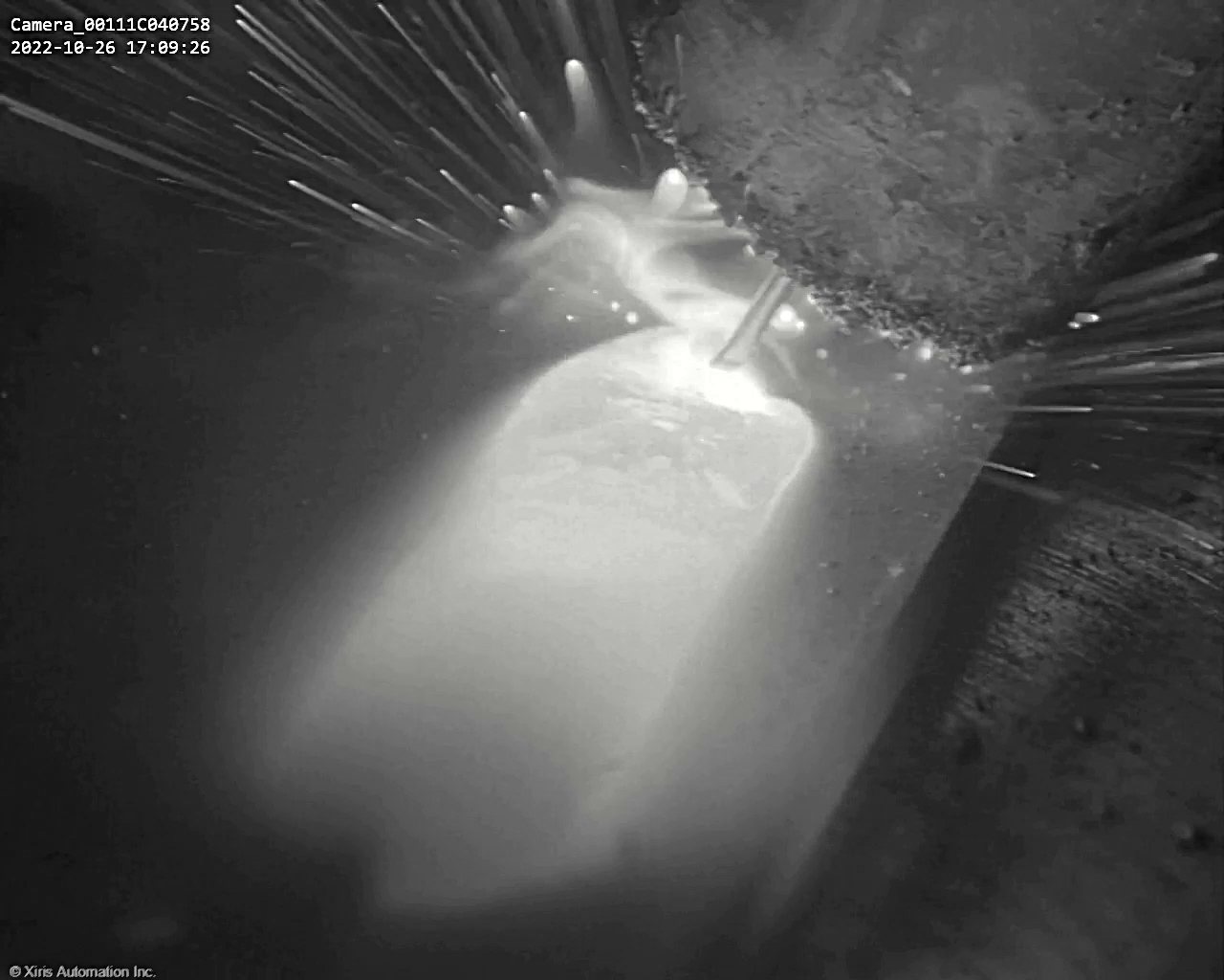 Figure 3 Thermal Weld Image of a MIG Process at 640x512 Pixels Resolution