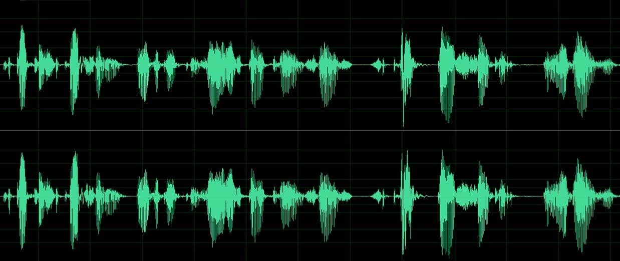 Audio (1) sound wave pic