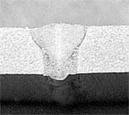 Image of a Sample Micrograph